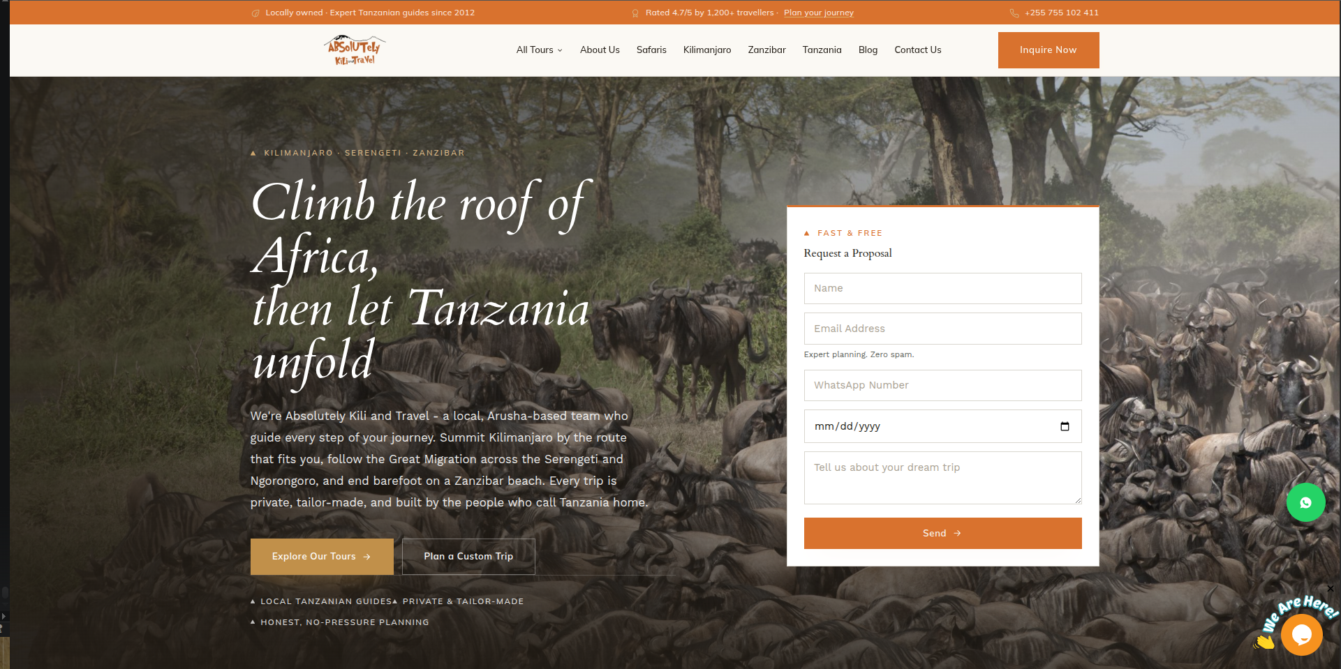 Absolutely Kili and Travel website screenshot