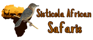 Sisticola African Safaris