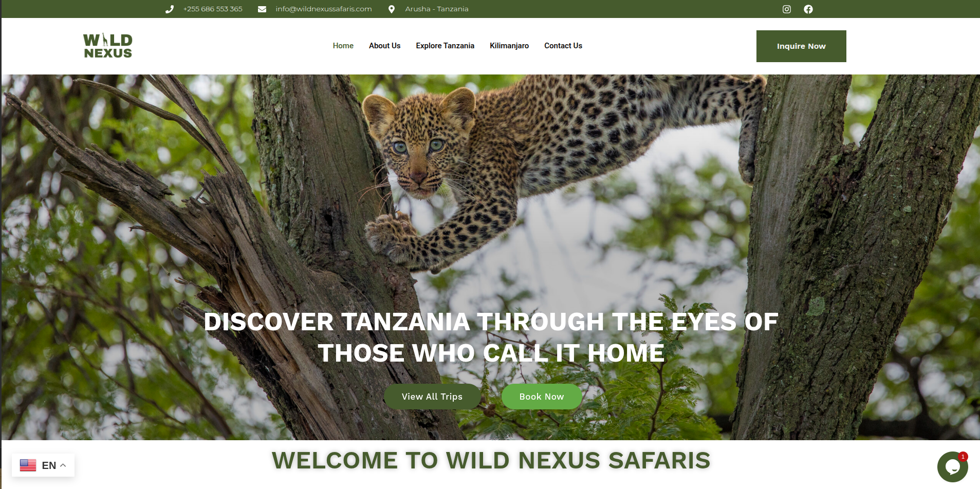 Wild Nexus Safaris website screenshot