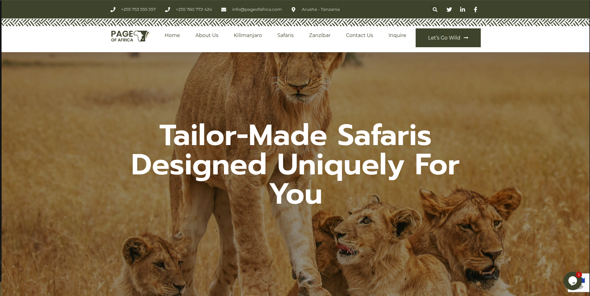 Page of Africa website screenshot