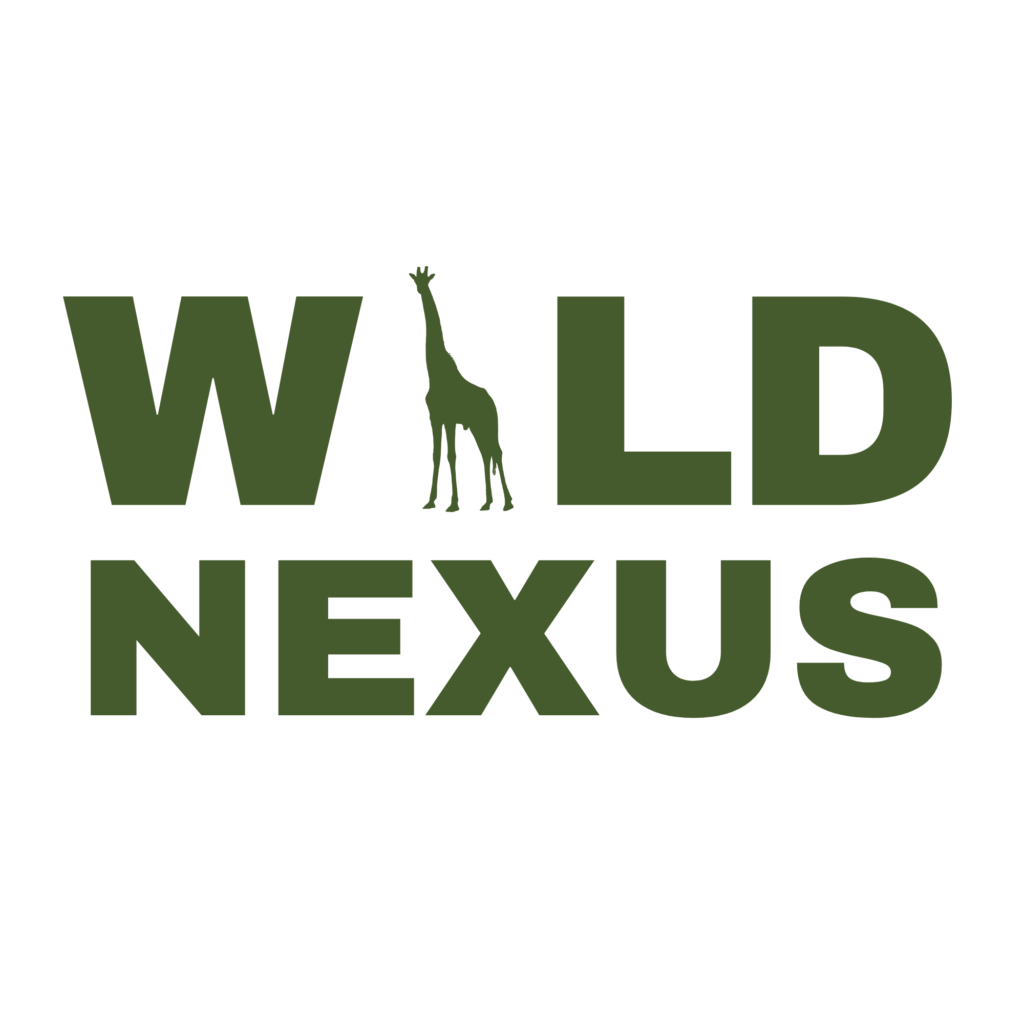 Wild Nexus Safaris logo
