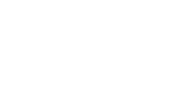 Digital Beaver
